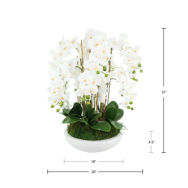 Orchid Arrangement in Round Fiberstone Pot, 31" H x 30" W x 30" D