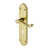 Polished Brass