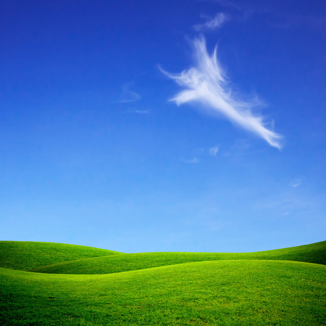 Cailen Green Field von Chaiwatphotos - Kunstdrucke auf Leinwand