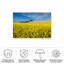 Peter Elgar The Canola Field-243261160