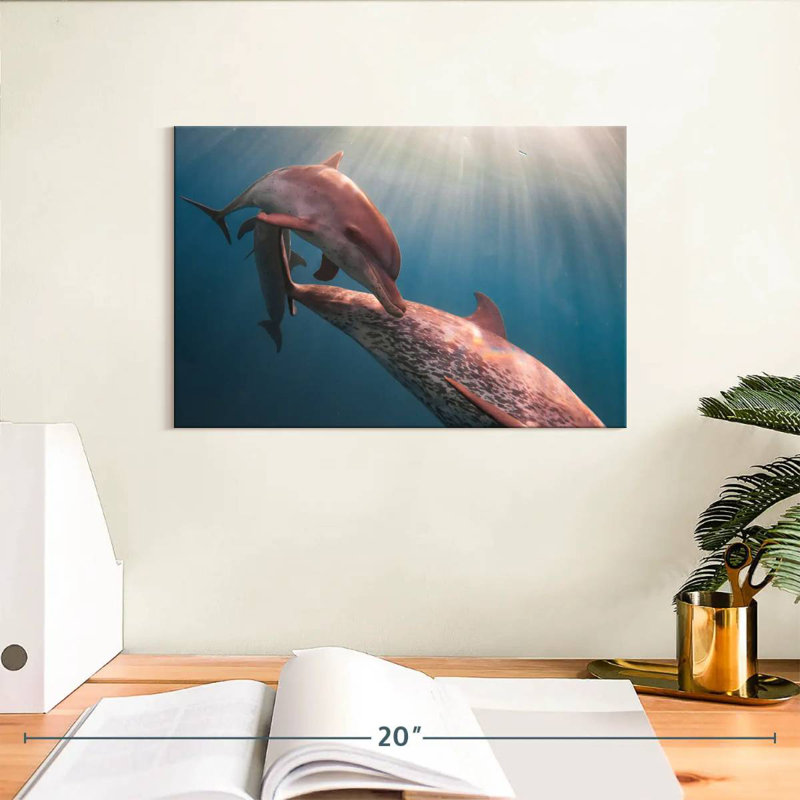 Brampt Amazon River Dolphins, 8" H x 12" W