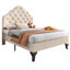 Wiedeman Velvet Bed-7142854-231304768