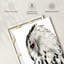 Hibou blanc sur toile-948322220