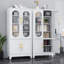 Classeur vertical en métal pour bureau à domicile avec portes en verre et 3 tablettes réglables-257591100