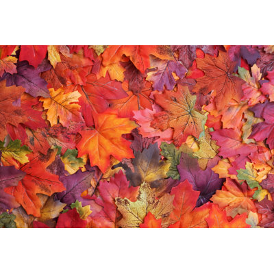 Fall Leaves - Wrapped Canvas Print