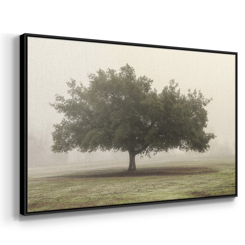 Arbres dans le brouillard II, Toile encadrée noire, H 25 po x l 37 po x P 2 po