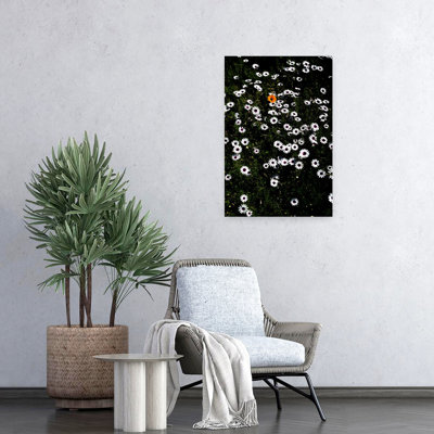 Art contemporain, paysage de marguerite abstraite