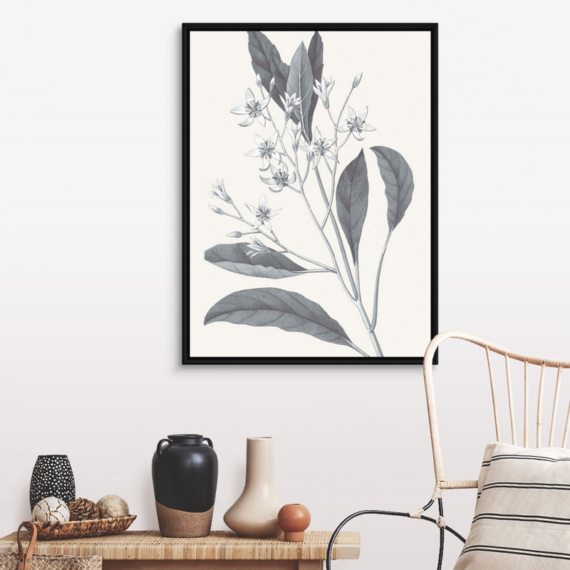 «Neutral Botanical V», art mural sur toile, Toile avec cadre noir, H 40 po x l 30 po x P 2 po