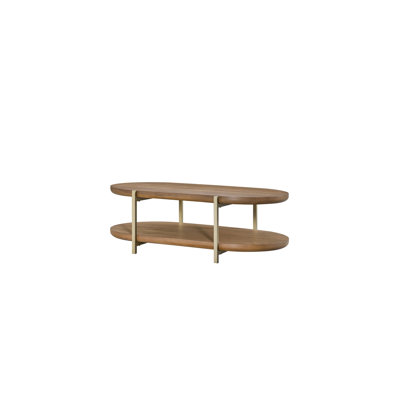 Table basse en latte, placages, caractéristiques en métal, rangement pratique, brun, latte 52 po x 29 po 17 avec placages et métal, accessibilité, 52 po P 29 po