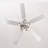 Nandrin 52'' Ceiling Fan