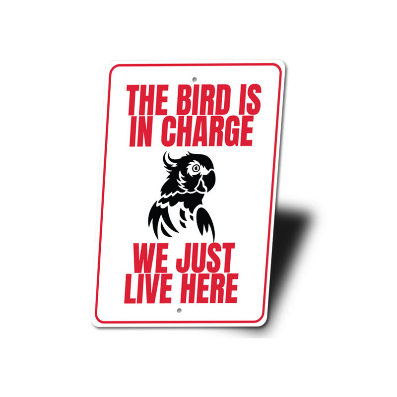 Plaque en aluminium «Funny Bird», H 14 po x l 10 po x P 0,04 po