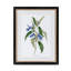 Summer Flower Framed Prints