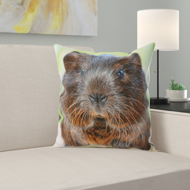 Coussin agouti
