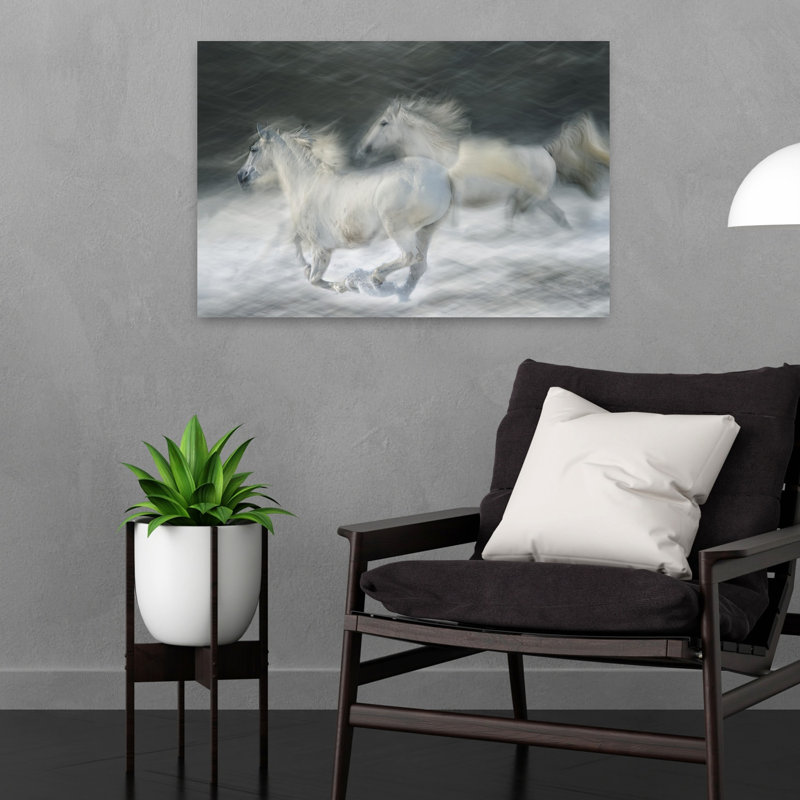 Print, 40.64cm H x 60.96cm W