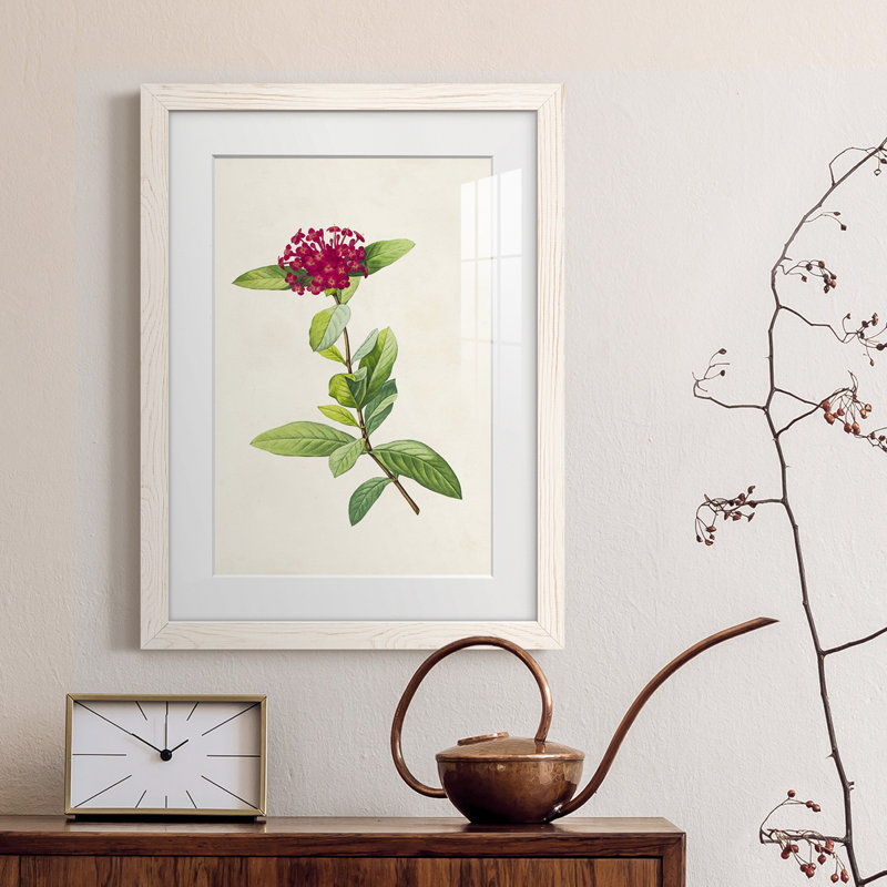 «Pretty Botanicals II», cadre photo, Cadre blanc, H 38 po x l 28 po x P 1 po
