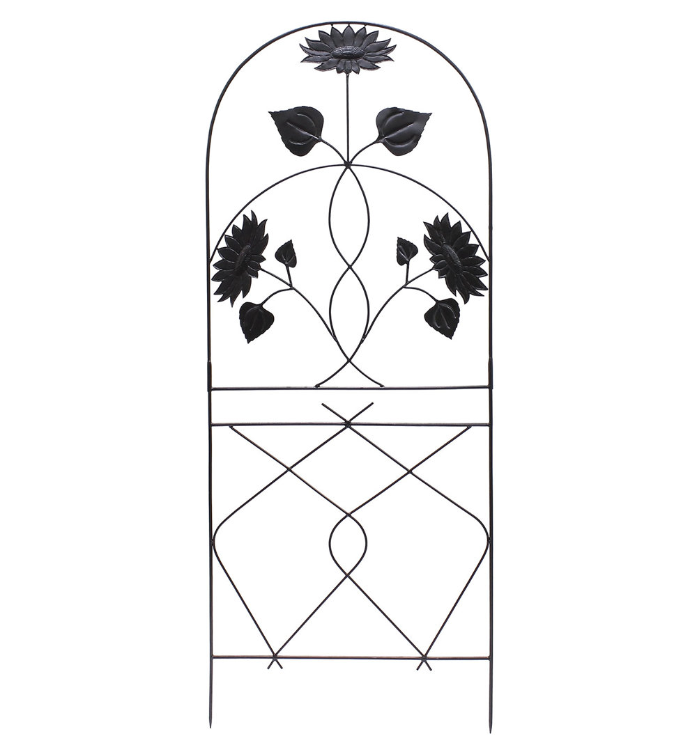 Coker 90'' H x 36'' W Iron Arched Trellis August Grove®
