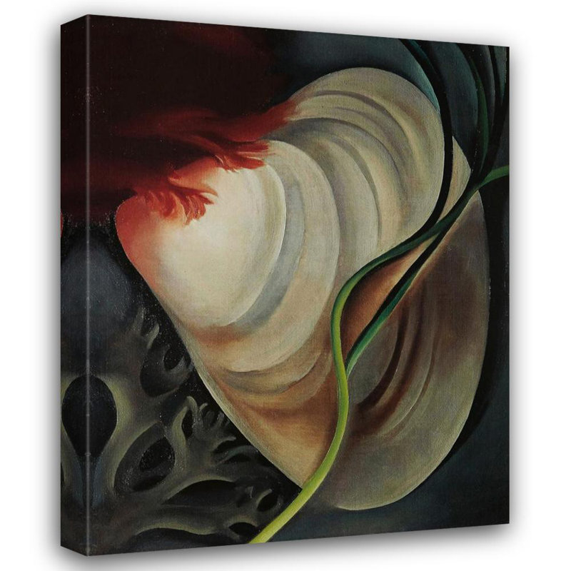 Shell No 2, 24" H x 19" W