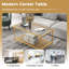 Coffee Table with Storage