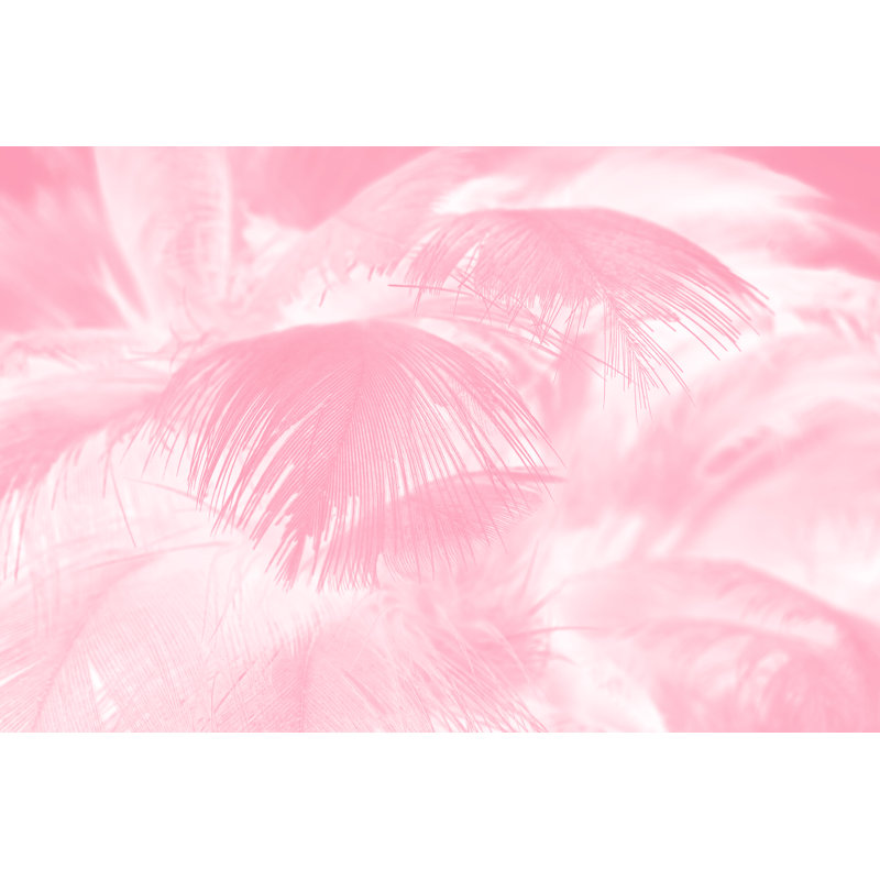 Coral Pink Feather - Wrapped Canvas Print, 30cm H x 46cm W x 3.8cm D