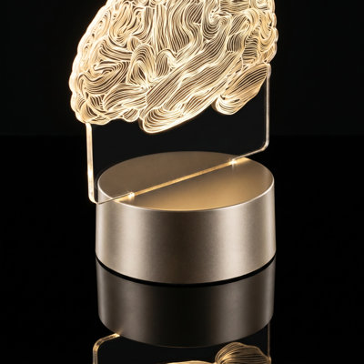 Brain LED Optical  Lamp Anatomical Human Brain Model Night Light With Metal Base  Warm White Acrylic Brain Table Lamp Decor Lamp For Study Room Bedroom