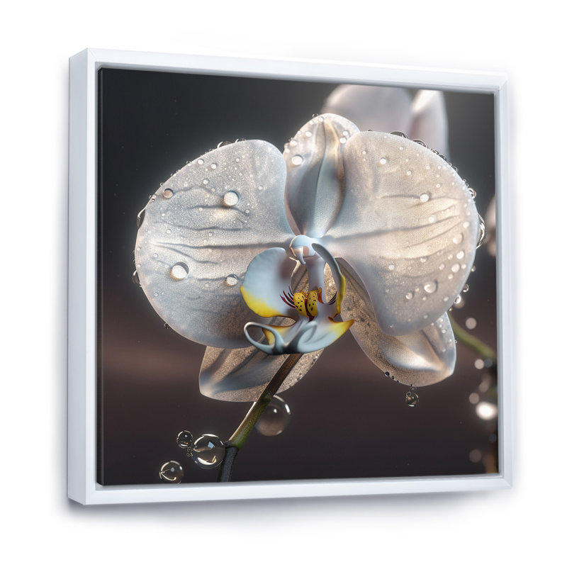 «Morning Dew» sur une orchidée blanche sur toile, Cadre flottant blanc, H 30 po x l 30 po x P 1 po