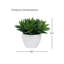 Agave 14 po en céramique blanc brillant-688950797