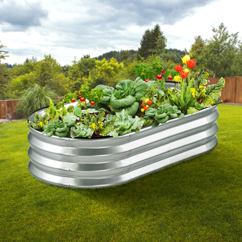 Lit de jardin surélevé en métal H 11 po x l 48 po Carlicia