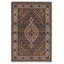 Oriental Area Rug in Brown