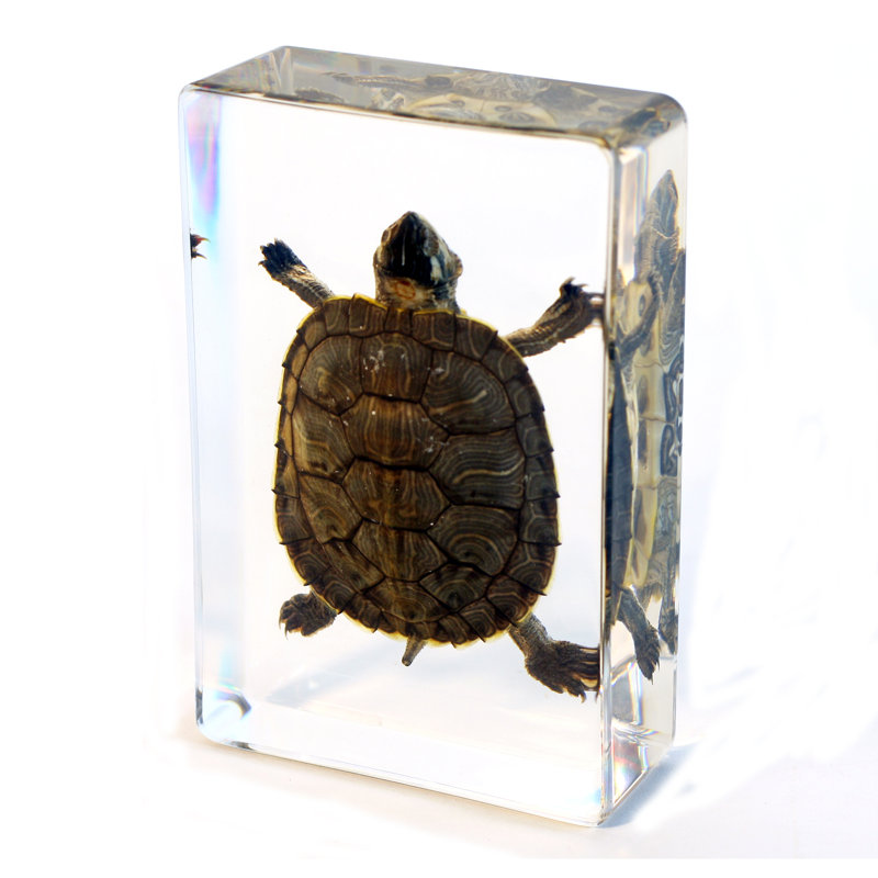 Aust Animals Figurines & Sculptures