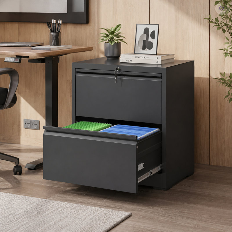 Bizoe 2-Drawer Metal Lateral File Cabinet with Lock, Full Extension Drawers with Hanging Rods for Letter Legal F4 and A4