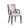 Elianys 18.5'' H Upholstered Beech Armchair