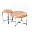 Ensemble 2 pièces tables basses et tables de bout - Design cylindrique vieilli, brun cèdre rouge-958239934