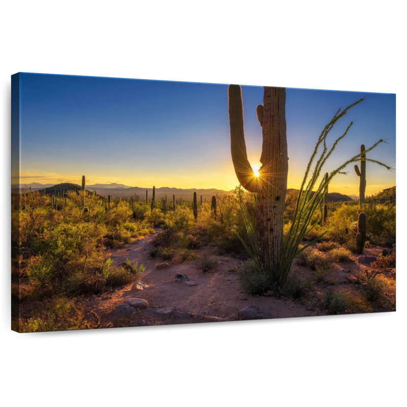 Coucher de soleil sur le parc national Harnek Saguaro, H 26 po x l 39 po