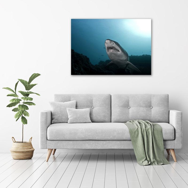Big Shark - Wrapped Canvas Print
