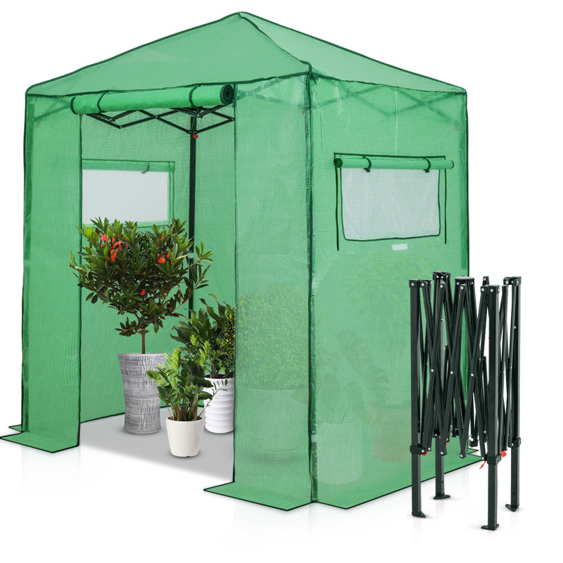 Pop Up Greenhouses 6 ft x 4 ft Greenhouse, Green