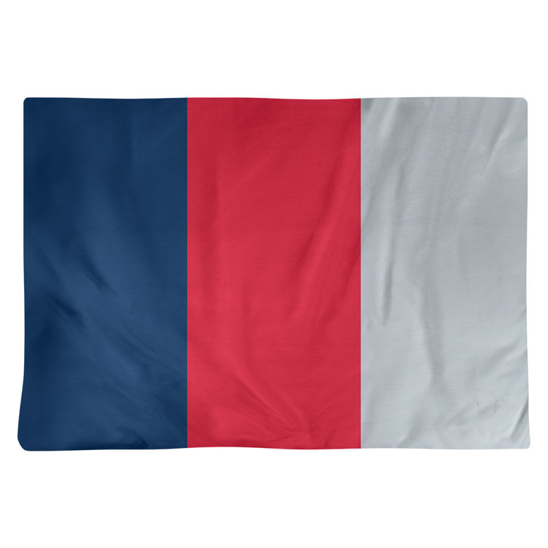 Récapitulatif 18" basket Washington, Bleu marine / rouge / argent, Polyester