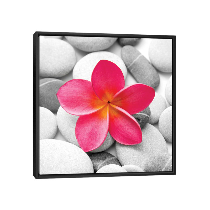 Fleur zen par PhotoINC Studio - Impression sur toile tendue sur châssis, H 18 po x l 18 po x P 1,5 po, Toile avec cadre noir