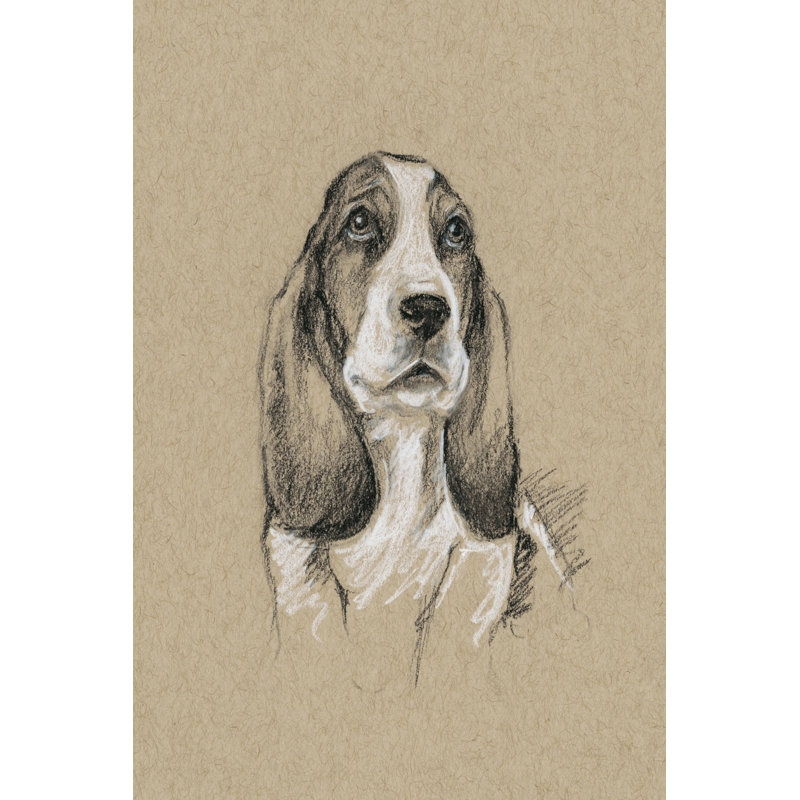 Breed Sketches VI by Ethan Harper - Painting Print, 122cm H x 81cm W, Black Floater Framed