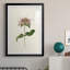 Mauve Garden Flowers V - peinture encadrée-949402230-949402231