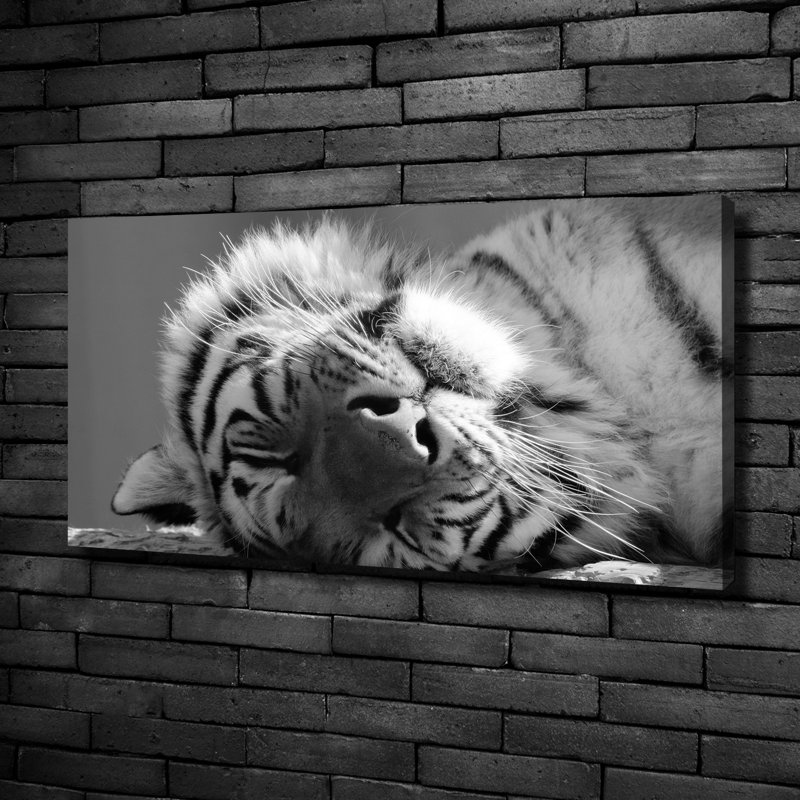 Sleepy Tiger 1 Piece Wall Art on Canvas