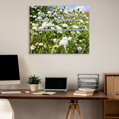 Astoria Grand Gallery Wrapped Canvas By Andrew von Eschenbach: "The FDA has formed a rapid response t