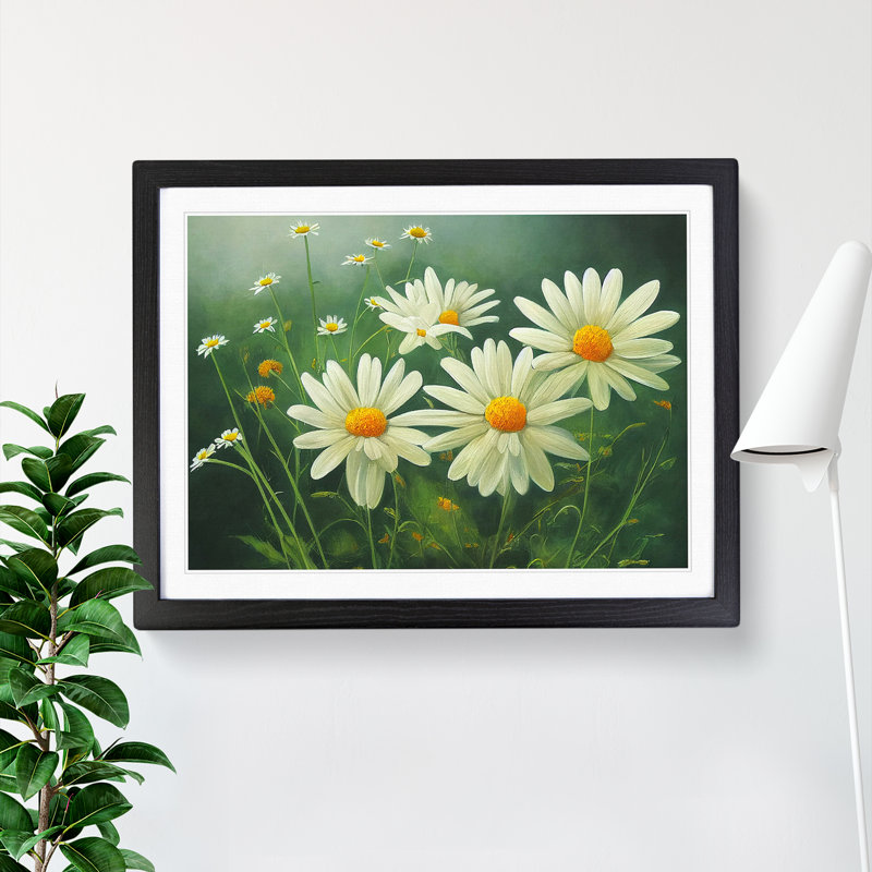 Daisy Flower - Framed Print, Black, 46cm H x 64cm W x 2cm D
