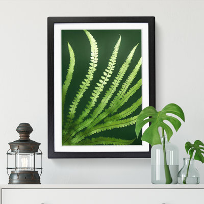 Aayam Fern Leaf Beauty - Framed Print