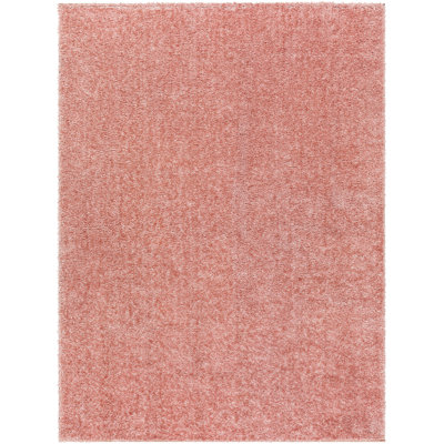 Basics by Wayfair™ Solid Shag Area Rug