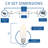  25 Feet LED C9 String Lights, Translucent Multicolor, 25 Bulbs with 12 Inch Spacing on Green Wire, Connect Up To 43 Strings Together, Shatterproof and Weather Resistant Removable Bulbs