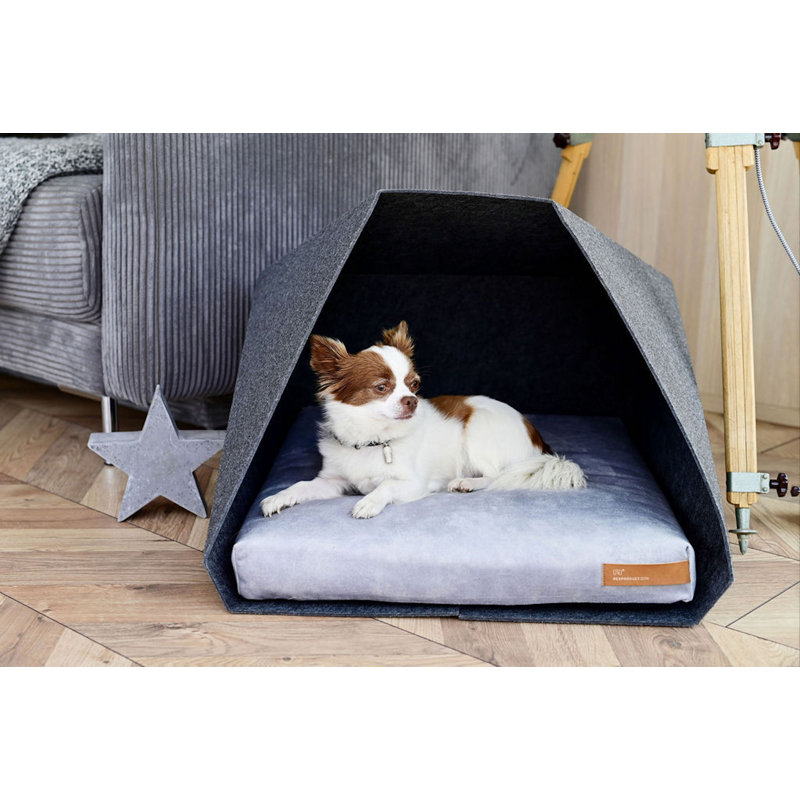 Polyester Pet Bed, Light Grey/Yellow