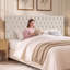 Tête de lit tapissier Aveigha Elegant-390767780-390767777