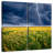 Alvord Thunderstorm