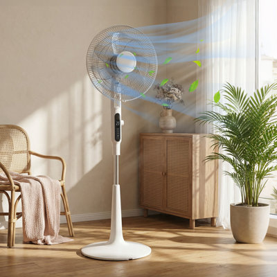 Floor Fan