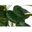 120cm Faux Banana Leaf Plant in Pot